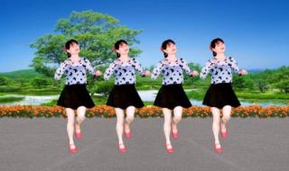 中老年迪斯科健身舞 中老年迪斯科健身舞